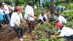 Djarot dan Relawan Benahi Taman Depan Balai Kota