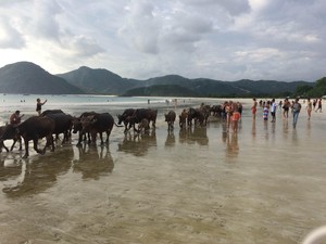 5 Ide Tempat Wisata Mudik di Lombok: Serba Pantai!