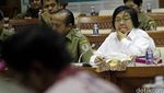 Menteri Siti dan DPR Bahas Kesepakatan Paris