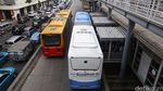 Pemprov DKI Berencana Tambah Armada Bus TransJakarta