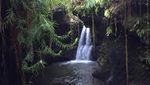 Air Terjun Burung Walet yang Tersembunyi di Lombok Timur