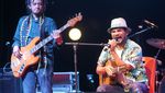 Nge-Jazz Seru di Hutan Mangrove Flores