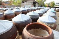 Apa Beda Kecap Ikan Thailand dan Kecap Ikan Vietnam?