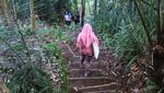Air Terjun Burung Walet yang Tersembunyi di Lombok Timur