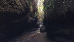 Air Terjun Burung Walet yang Tersembunyi di Lombok Timur