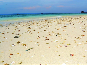 Lampung Gelar Festival Puhawang Teluk Ratai Pertama Kali