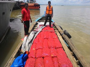Polri Bekuk Penyelundup Bawang Merah dari Malaysia, Pelaku Terjun ke Laut