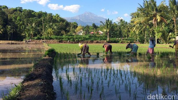 Desa Wisata Tete Batu Desa Wisata Tete Batu