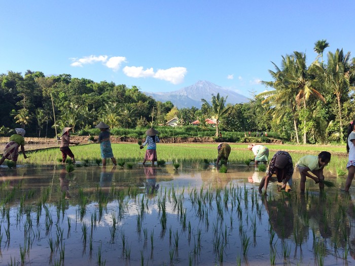 Desa Wisata Tete Batu