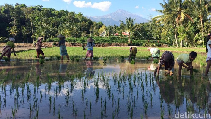 Turis di Lombok Bertambah, Warga Diajak Benahi Destinasi Tete Batu
