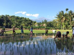 Jadilah Desa Wisata, Agar Tidak Ada Urbanisasi ke Kota