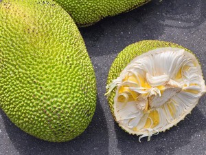 Moringa, Nangka dan Air Kaktus akan Jadi Makanan Sehat yang Populer di Masa Depan