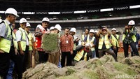 Djarot mengecek rumput lapangan stadion Gelora Bung Karno.