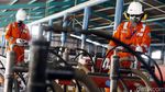 Pakai Gas PGN, Pabrik Kapur dan Genteng Lebih Hemat