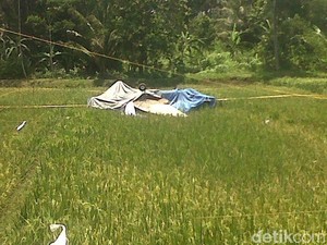 Detik-detik Pesawat Latih Jatuh di Sawah: Mesin Mati, Nyaris Tabrak Pohon Kelapa