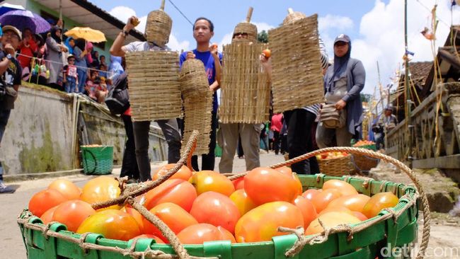 Bukan Hanya di Spanyol, Tradisi Perang Tomat Juga Ada di 