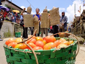 Bukan Hanya di Spanyol, Tradisi Perang Tomat Juga Ada di Bandung