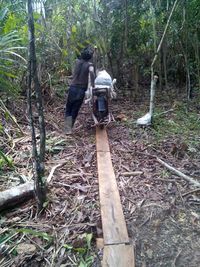 Jokowi Ingin Papua Terang Benderang, Ini Penampakan Kerja Keras PLN