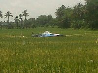 Detik-detik Pesawat Latih Jatuh di Sawah: Mesin Mati, Nyaris Tabrak Pohon Kelapa