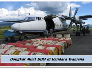 Pemerintah Siapkan Aturan Subsidi Angkutan Barang ke Papua