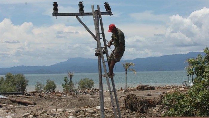 Pakai Kuda, Pekerja PLN Angkut Tiang Listrik Tembus Hutan dan Pegunungan Papua