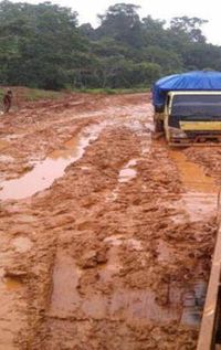 Mau Lihat Medan Berat yang Dilalui Pertamina untuk Kirim BBM ke Papua?