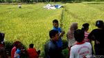 Pesawat Latih yang Jatuh di Cilacap Ditutupi Terpal
