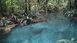Sungai Biru Ajaib dari Raja Ampat