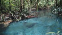 Nah, setelah trekking kurang lebih 30 menit dari muara sungai hingga masuk ke hutan, tibalah kami di Kalibiru. Wow, menakjubkan (Wahyu/detikTravel)