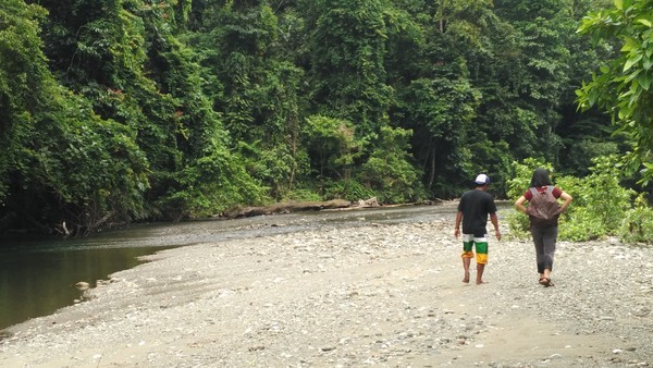 Bila ditempuh dari Waisai, diperlukan waktu kurang lebih sekitar 1 jam naik speedboat. Setelah itu, trekking masuk ke hutan sekitar 30 menit (Wahyu Setyo Widodo/detikcom) Bila ditempuh dari Waisai, diperlukan waktu kurang lebih sekitar 1 jam naik speedboat. Setelah itu, trekking masuk ke hutan sekitar 30 menit (Wahyu Setyo Widodo/detikcom)