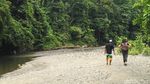 Foto: Sungai Berwarna Biru di Raja Ampat