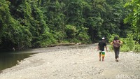Bila ditempuh dari Waisai, diperlukan waktu kurang lebih sekitar 1 jam naik speedboat. Setelah itu, trekking masuk ke hutan sekitar 30 menit (Wahyu Setyo Widodo/detikcom)
