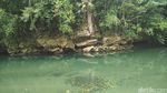 Sungai Biru Ajaib dari Raja Ampat
