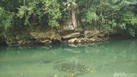 Spot ini sempat disangka Kalibiru. Namun pemandu kami mengatakan kita harus masuk ke dalam hutan lagi (Wahyu/detikTravel)