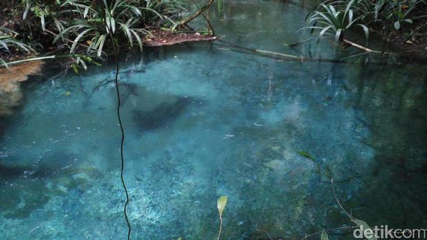 Kolam alami berwarna biru jernih (Wahyu/detikTravel)