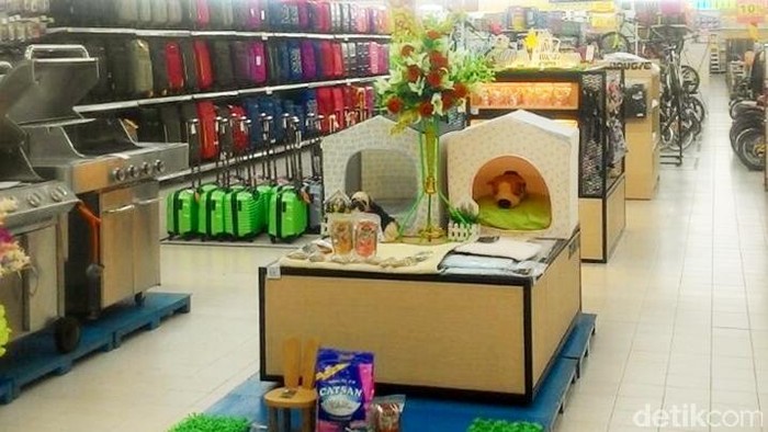 Aneka Kebutuhan Hewan Peliharaan di Transmart Carrefour