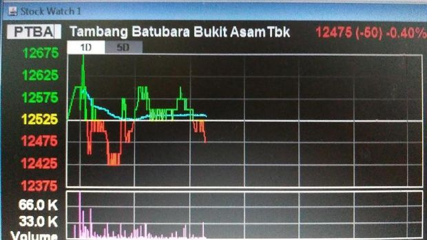 Saham Tambang Lain 'Merah', Tapi BUMI Meroket