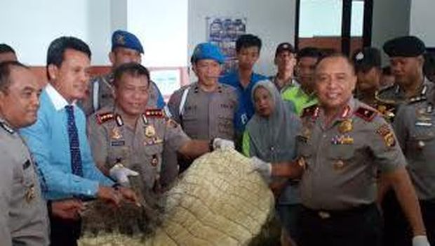 Barang bukti kulit buaya yang diselundupkan. (Foto: Dok Polda Jambi)