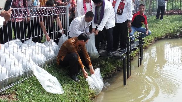 Ahok meresmikan RPTRA Gebang Sari bersama Veronica