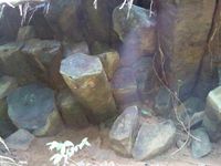 Situs Candi Ditemukan di Pekalongan, Diperkirakan Peninggalan Mataram Kuno Abad 9