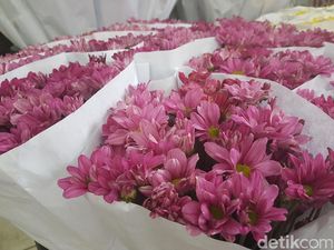 So Sweet, Agus Beli Mawar di Rawa Belong Buat Annisa Pohan