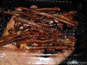Makan Cacing Laut di Raja Ampat, Enak Lho!
