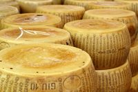 Ini Bedanya Keju Natural dan Keju Olahan