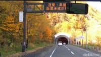 Sekitar 10 menit setelah bus keluar dari bandara Asahikawa, terlihat di kejauhan rimbun dedaunan di bukit-bukit dan pegunungan yang mulai menguning berselang-seling dengan daun kemerahan (Sudrajat/detikTravel)