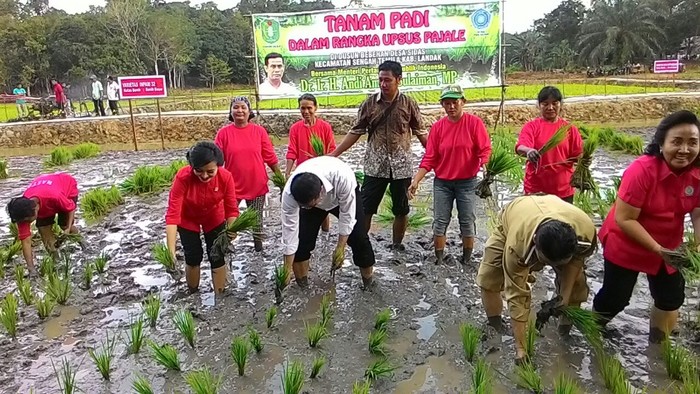 Mentan Amran Ingin Kalimantan Mandiri Pangan