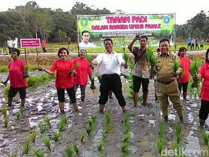 Mentan Amran Ingin Kalimantan Mandiri Pangan