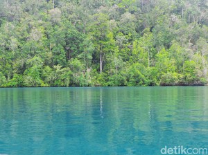 Asyik! Sinyal Telepon & Internet Bakal Makin Mudah di Raja Ampat