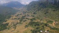 Dari atas kereta gantung, akan terlihat pemandangan cantik lembah Muang Hoa serta pepohonan (Baban/detikTravel)