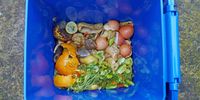 Masyarakat Tak Suka Makanan Cacat, Limbah Makanan Terus Bertambah di Singapura