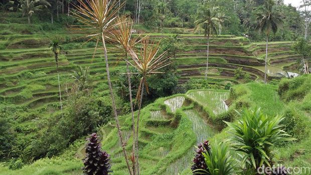 Galaxy On 7: Layar Besar, Awet Baterai 